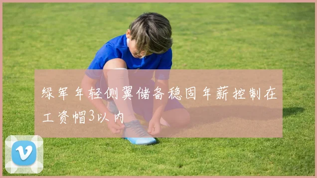 绿军年轻侧翼储备稳固年薪控制在工资帽3以内